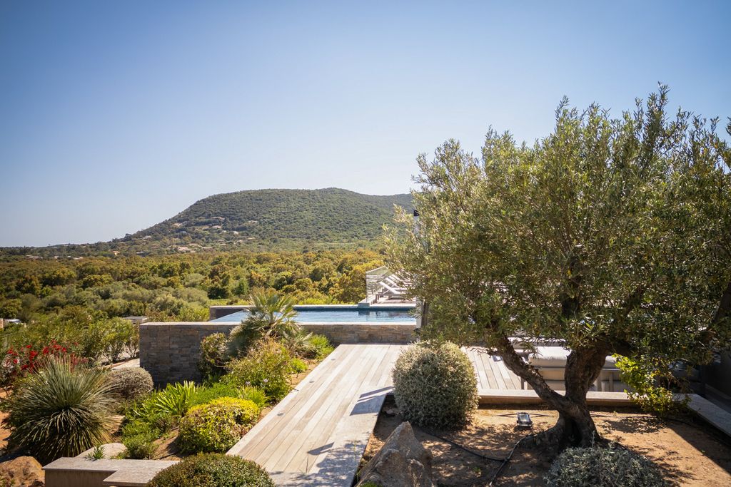 Villa Pina Corsica Olivers Travels 2