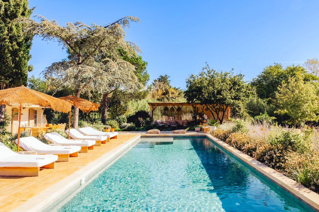 Villa Pleurote French Riviera Olivers Travels 2