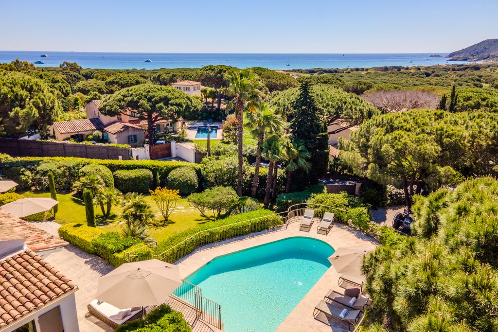 L Imprime Vache French Riviera OliversTravels 3