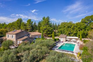 Vue des Alpilles Provence Olivers Travels 1