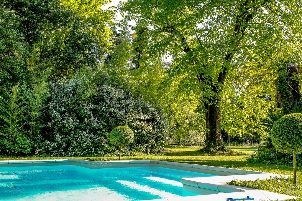 Lys d Etang Provence CH OliversTravels 2