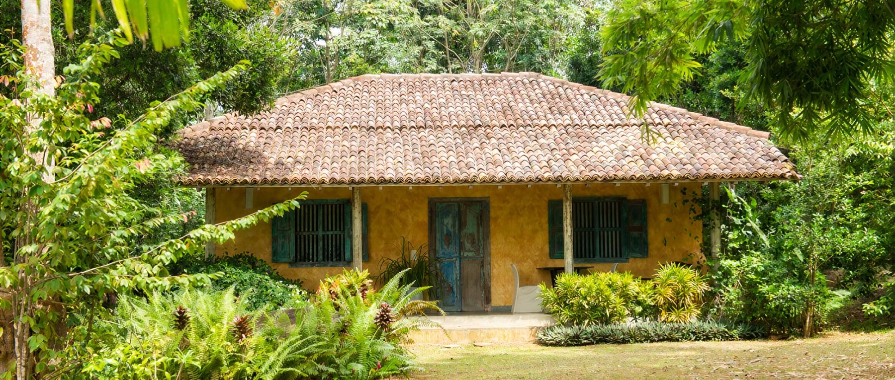 001 pokkuluwa estate southern coast olivers travels desktop center