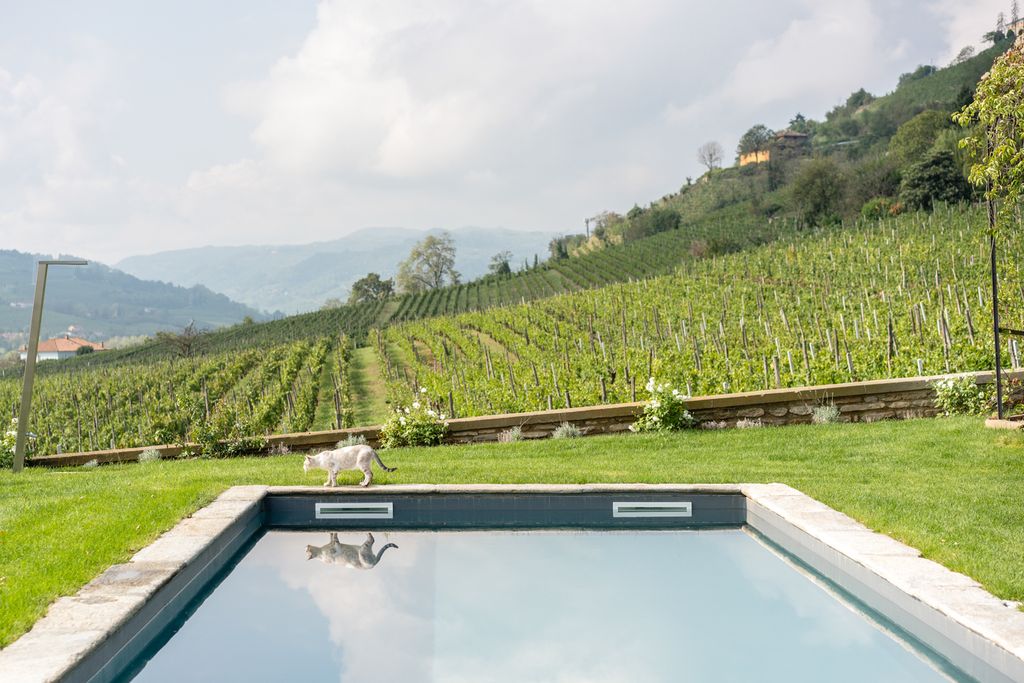 Villa Moscato Piedmont Olivers Travels 2