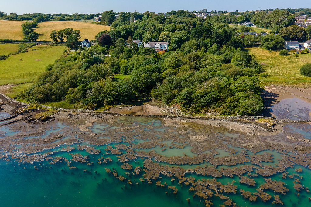 Menai Manor Wales Olivers Travels 01