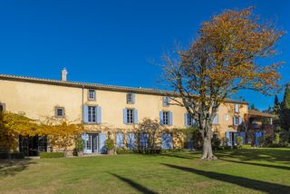 Domaine Des Arbres Languedoc Olivers Travels 1