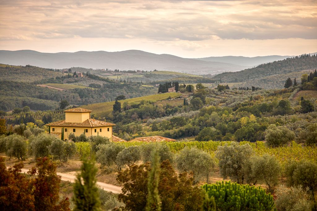 Villa Cavalieri Tuscany Olivers Travels 2
