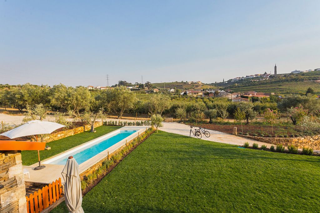 The Grape Escape Douro Olivers Travels 2