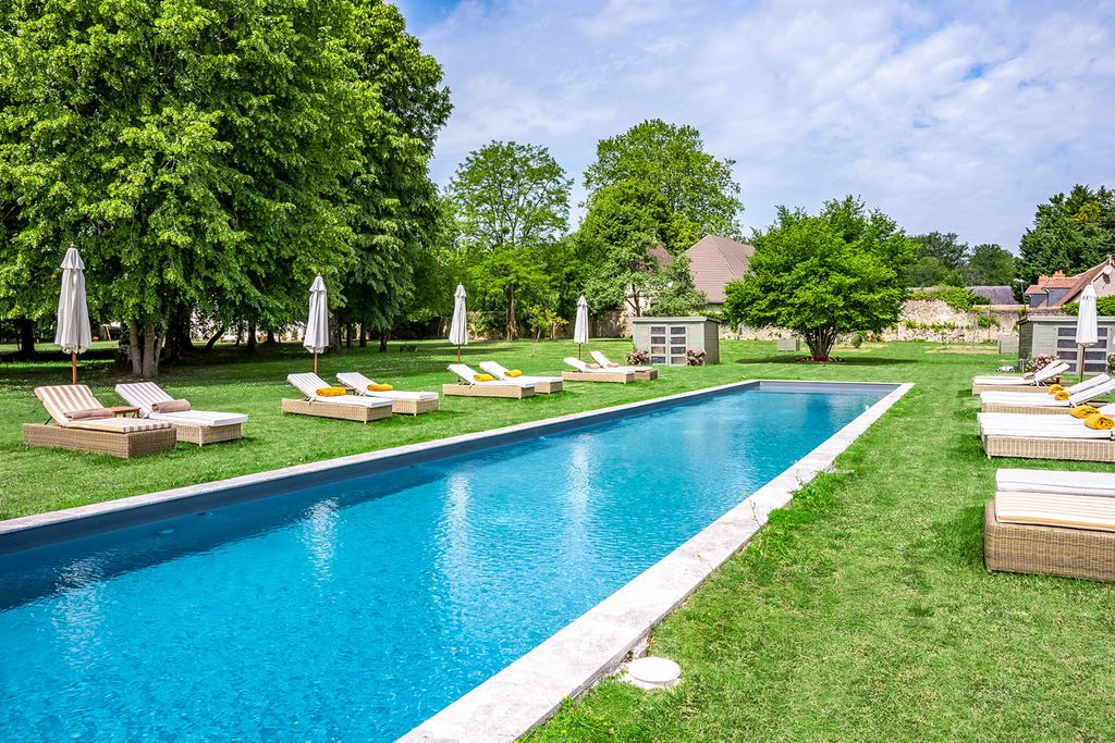 Chateau Coeur Loire Valley OliversTravels 3