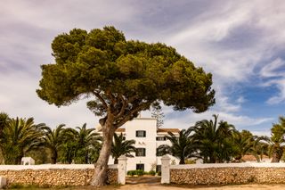 Finca Galdana Menorca Olivers Travels 8