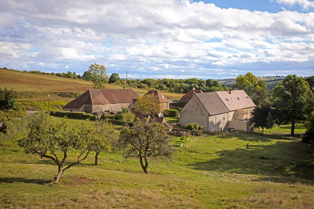 Domaine du Chateau Burgundy PF OliversTravels 2