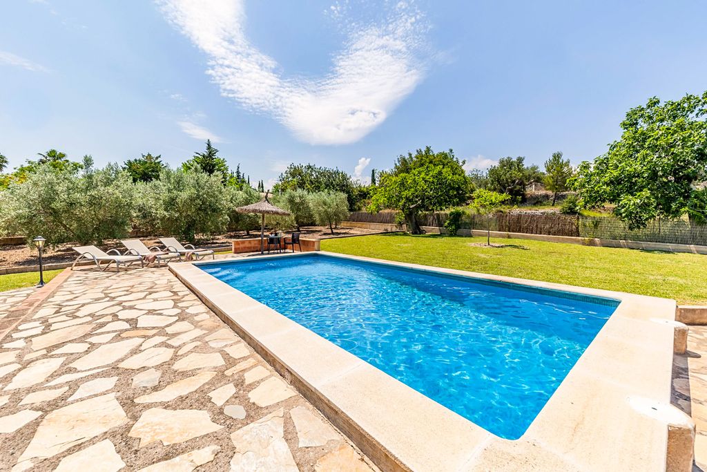 La Oruga Mallorca Olivers Travels 02