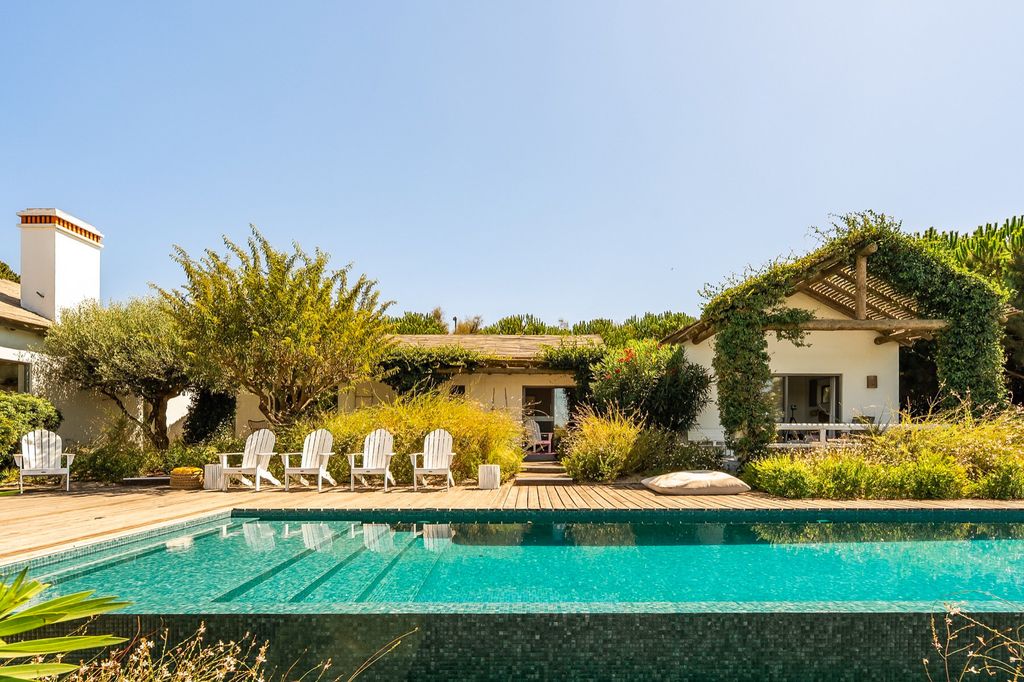 Campo De Arroz Comporta Olivers Travels 1