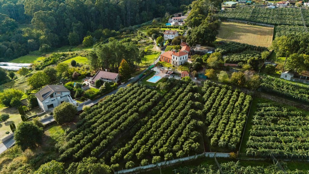 Villa Lourina Galicia Olivers Travels 011