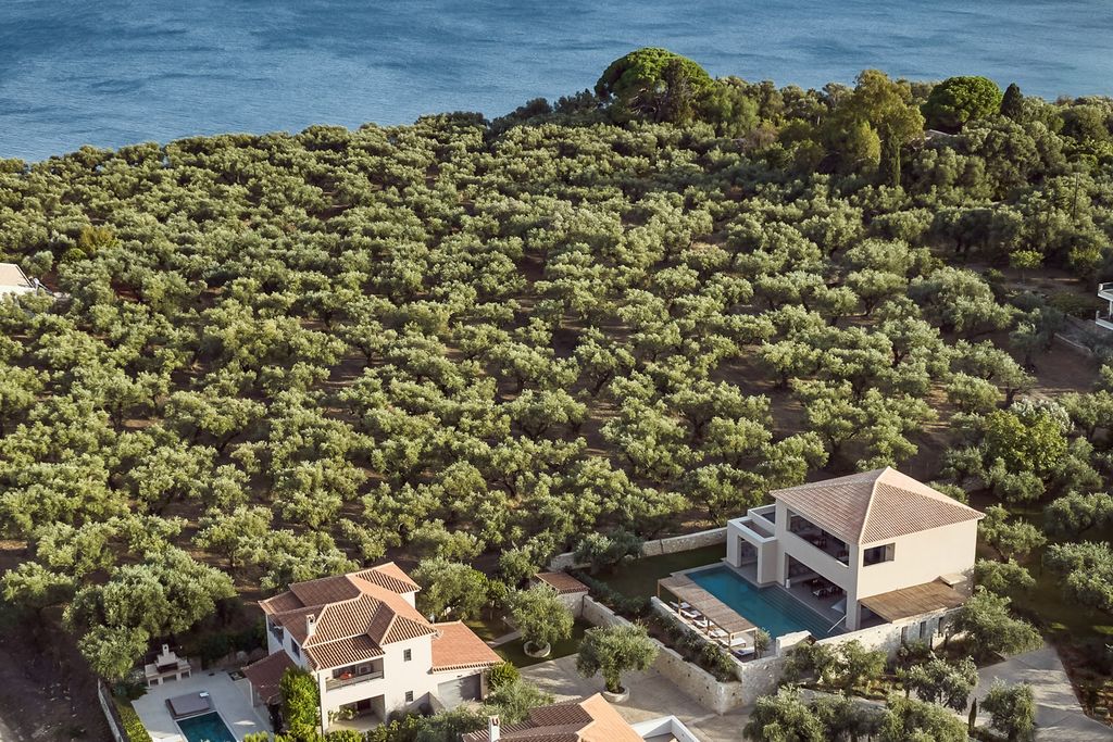 Villa Amigos 3 Zakynthos OliversTravels 2