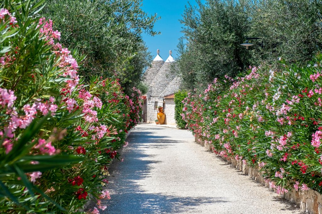 Trulli Fioritura Puglia Olivers Travels 2