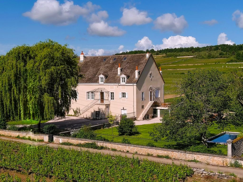 Maison Des Grands Crus Burgundy Olivers Travels 2