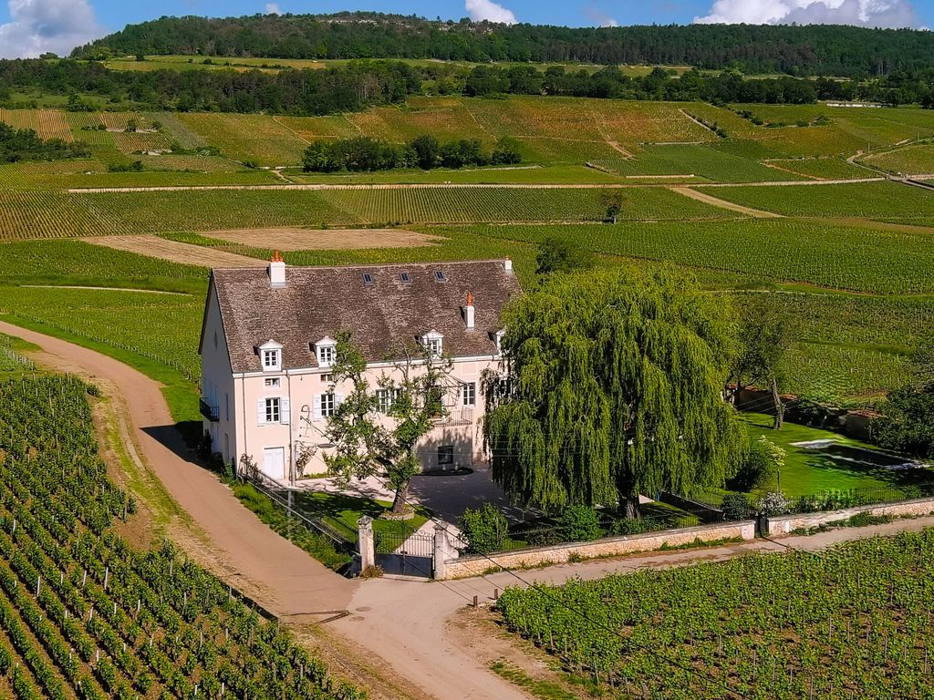 Maison Des Grands Crus Burgundy Olivers Travels 30