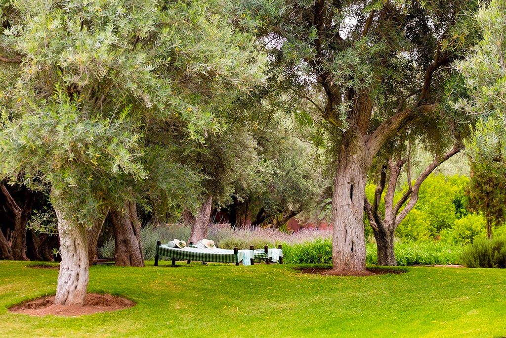 Ezzahra Villa Alkhozama Marrakech Olivers Travels 5