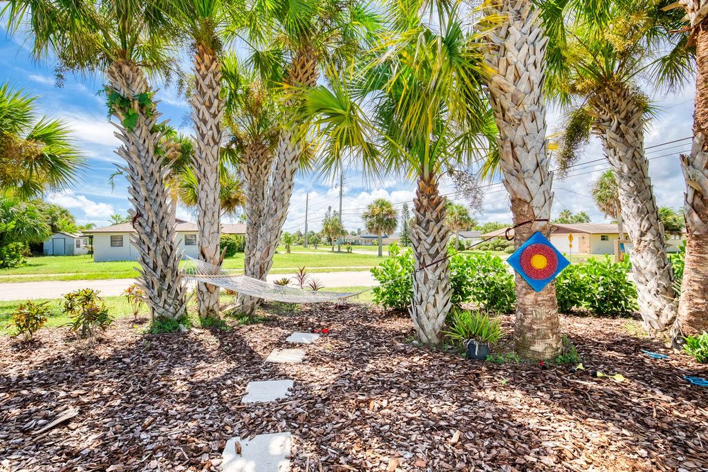 Wandering Waves Daytona Bach Olivers Travels 2