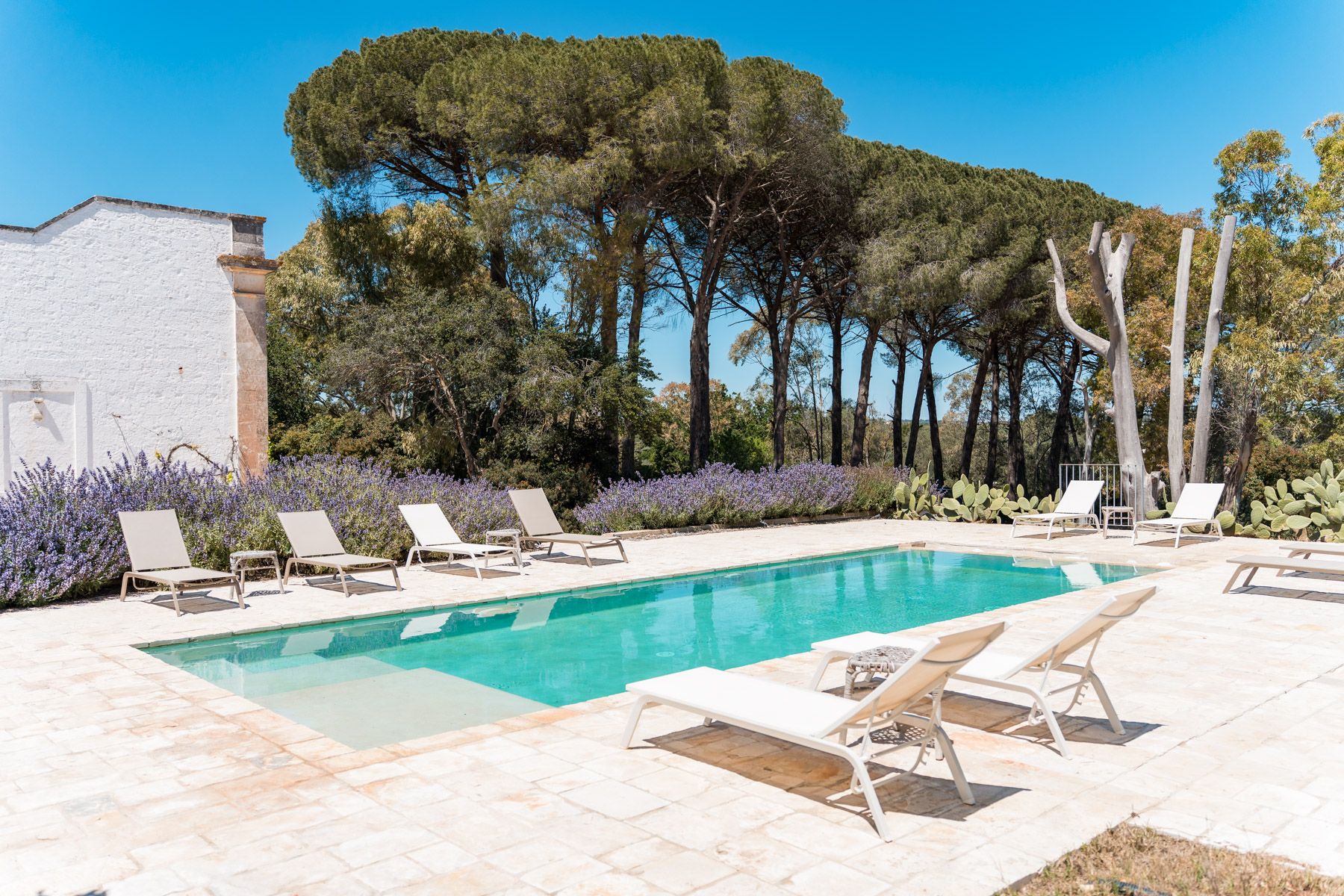 Masseria Harmonia