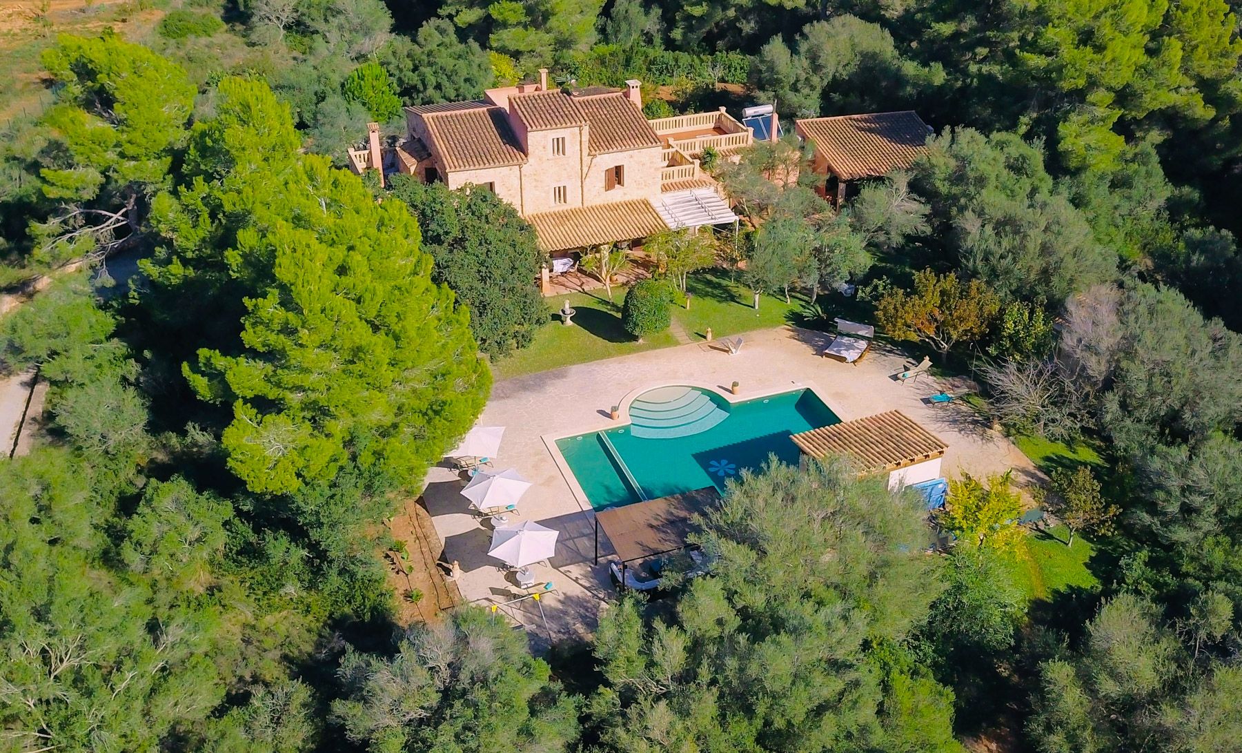 Finca Son Calma