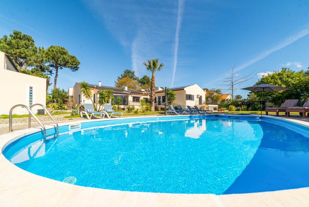 The Verdizela Grove Lisbon Coast Olivers Travels 1