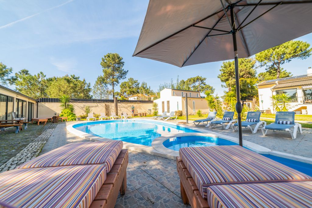 The Verdizela Grove Lisbon Coast Olivers Travels 2