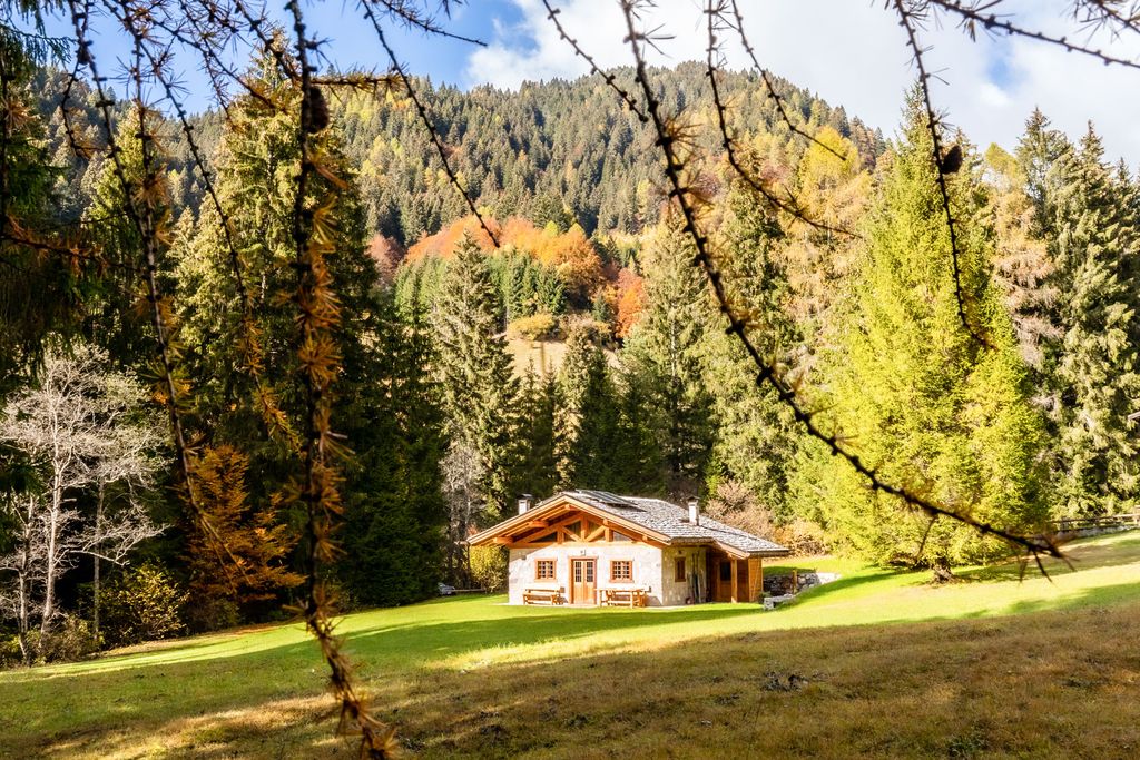 Baita Bailo Dolomites Olivers Travels 1