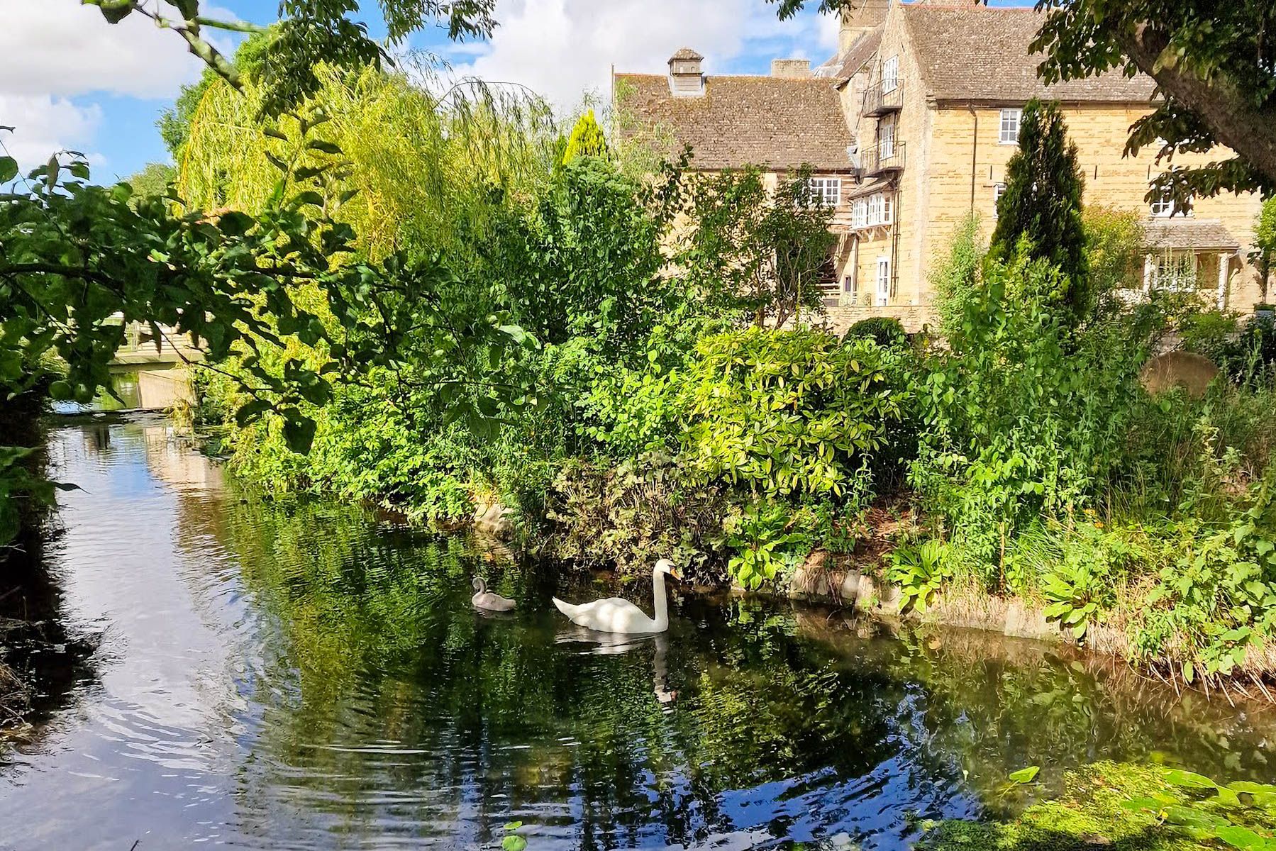 The Dragonfly Estate