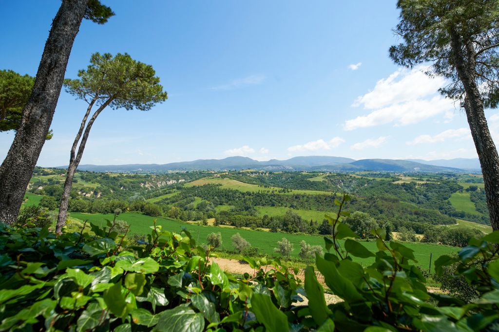 Villa Faruffini Lazio Olivers Travels2