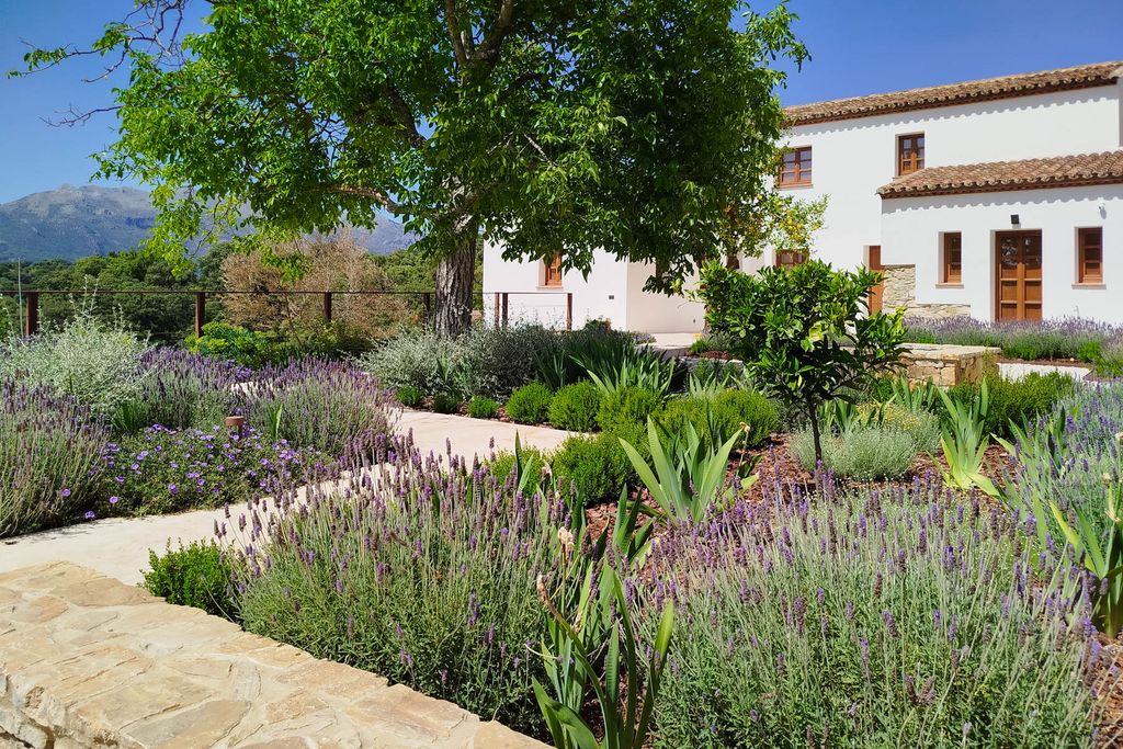 Finca Vegachi Andalucia Olivers Travels 1
