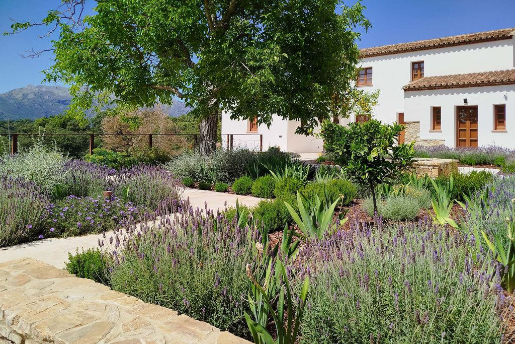 Finca Vegachi Andalucia Olivers Travels 02