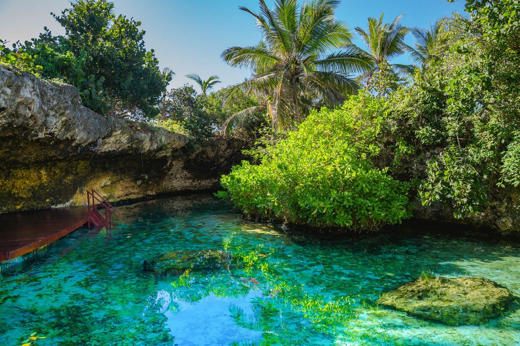 EdenRocCapCana Villa Azuree OliversTravels 4