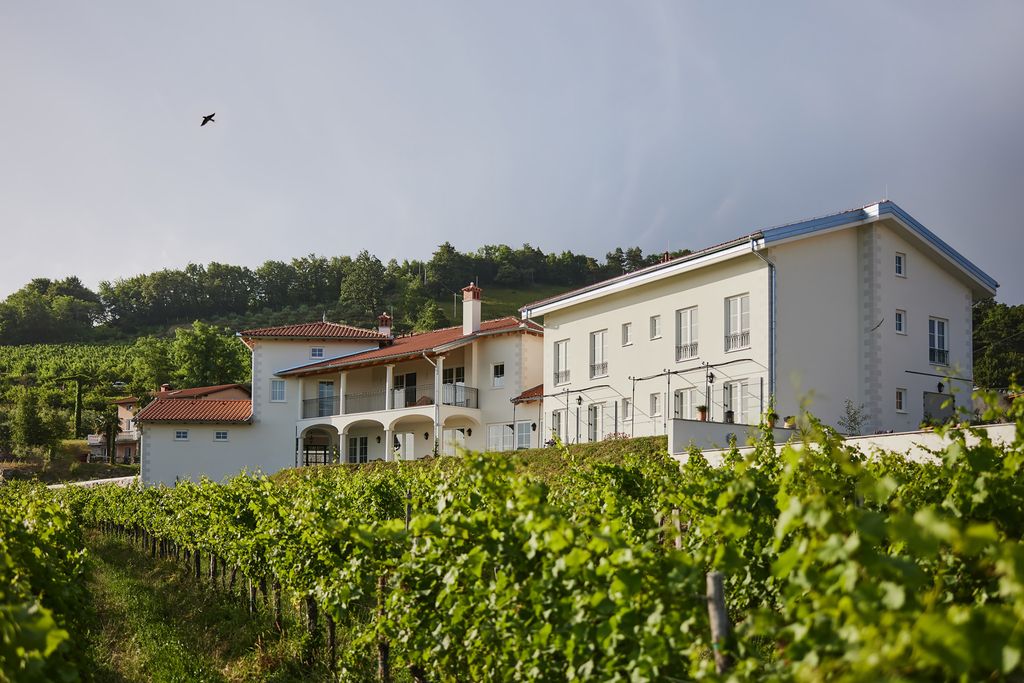 Estate Vinovera Alpine OliversTravels 5