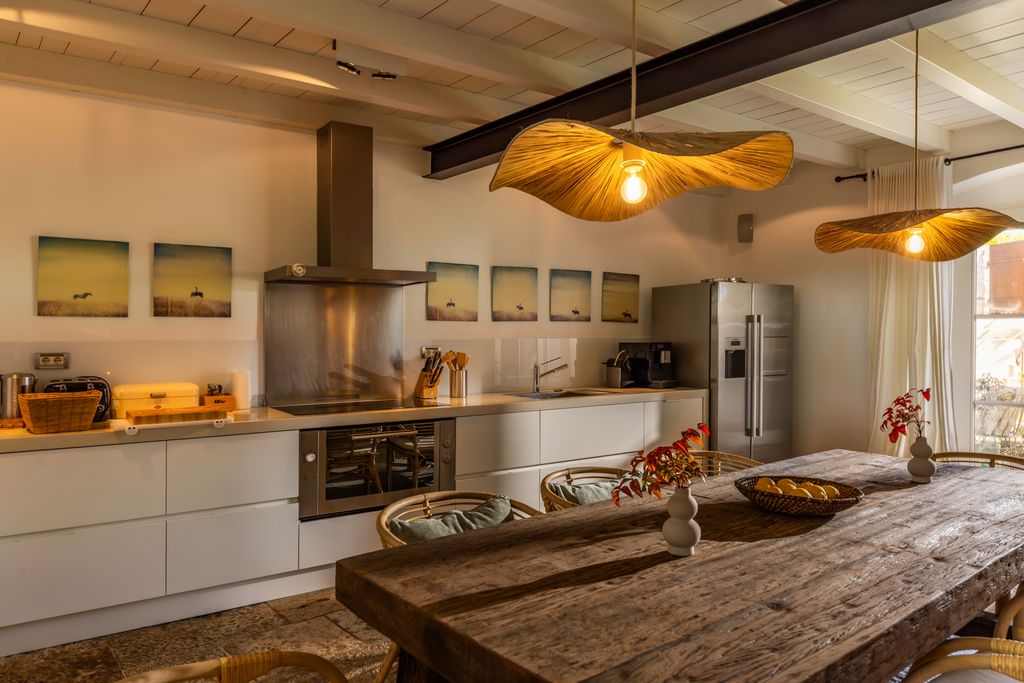 Villa Borina Pascari Village OliversTravels 4