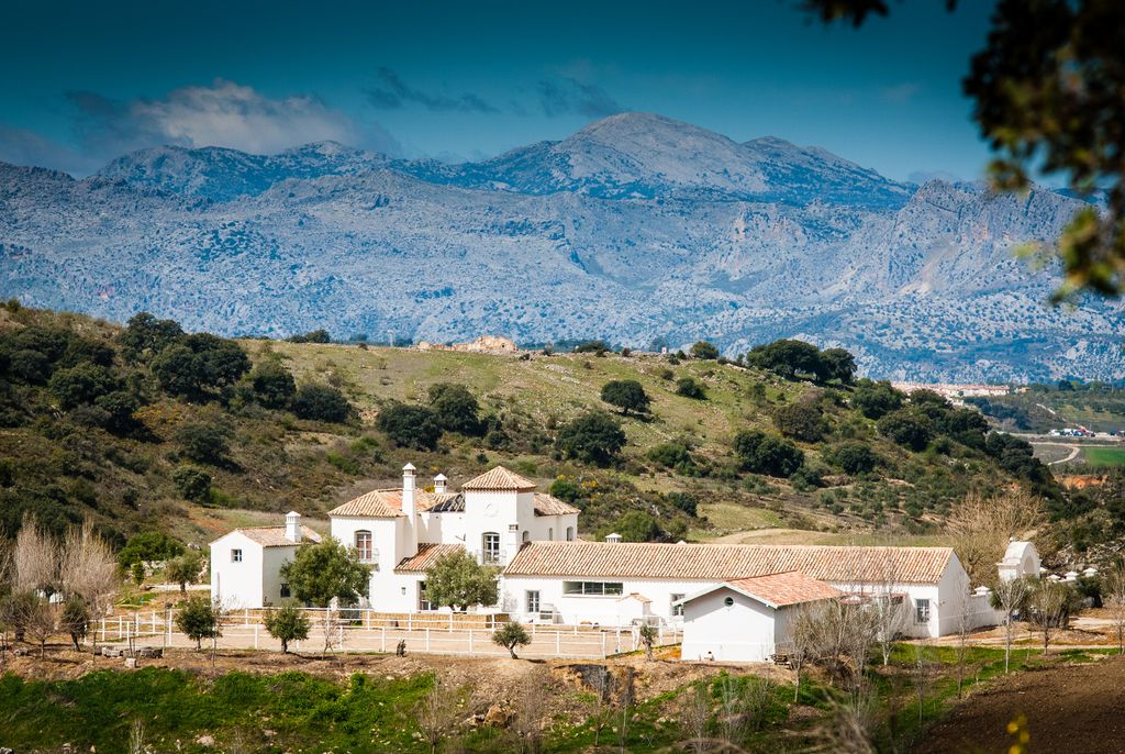 Llanos Resort Malaga Oliver s Travels  1 