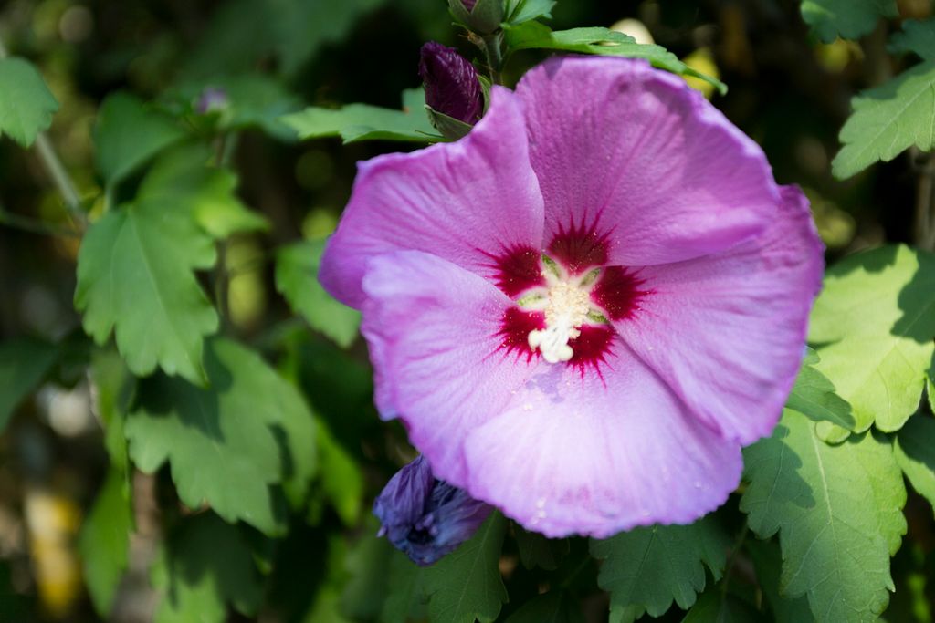 La Gerbaudie Dordogne Olivers Travel 4