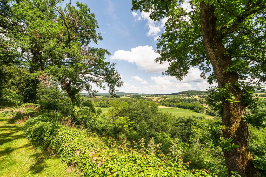 Villa des Arbres Dordogne Olivers Travels2 01
