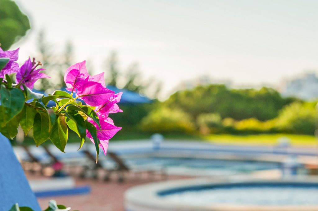 Villa Magda Olhos D Agua Olivers Travels 5