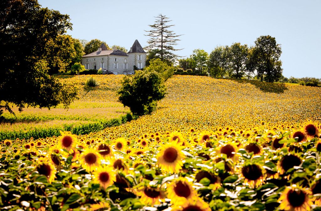 Chateau Segalas Aquitaine Dordogne France Olivers Travels 25