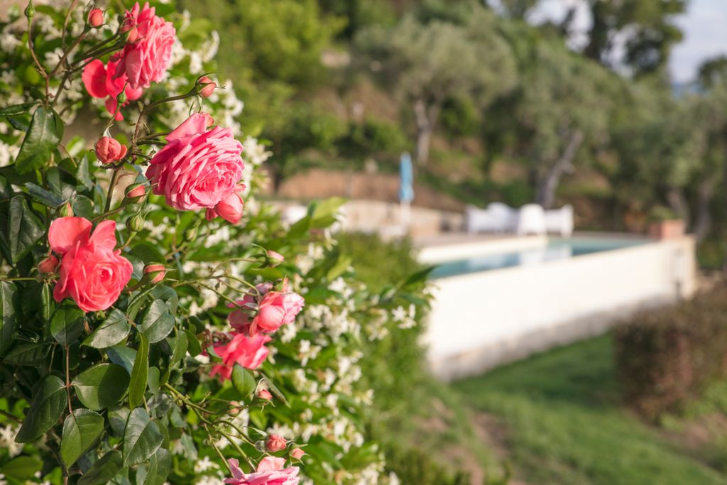 Villa di Sole Sicily Olivers Travels5