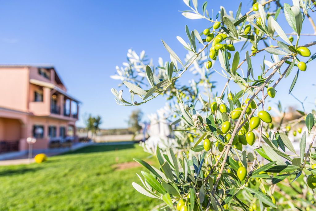 Almyros Beach House Corfu Olivers Travels 5