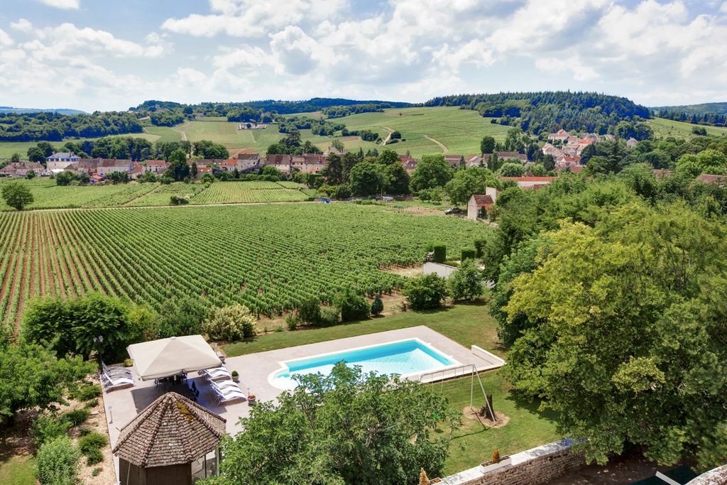 Chateau de Naugues Burgundy Olivers Travels2