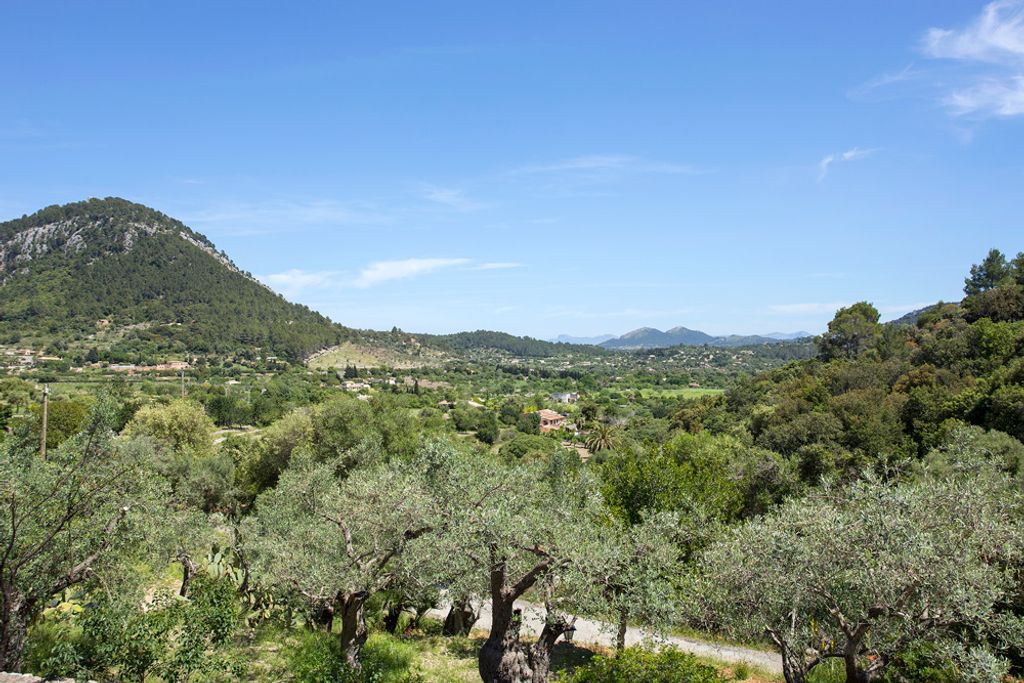 Villa Flores Mallorca Olivers Travels2