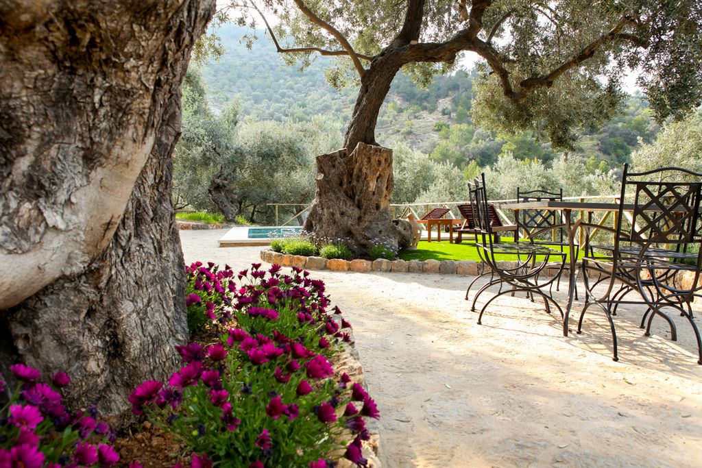 Can Oriol Mallorca Olivers Travels 5