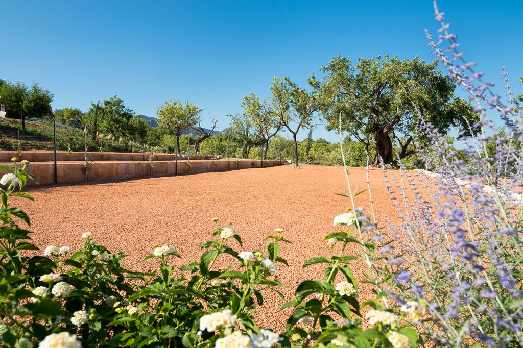 Villa Palmira Mallorca Olivers Travels 5