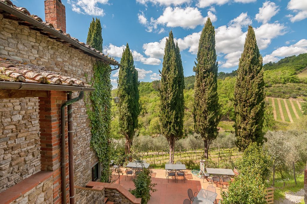 Villa Vigneto Estate Tuscany Olivers Travls 46