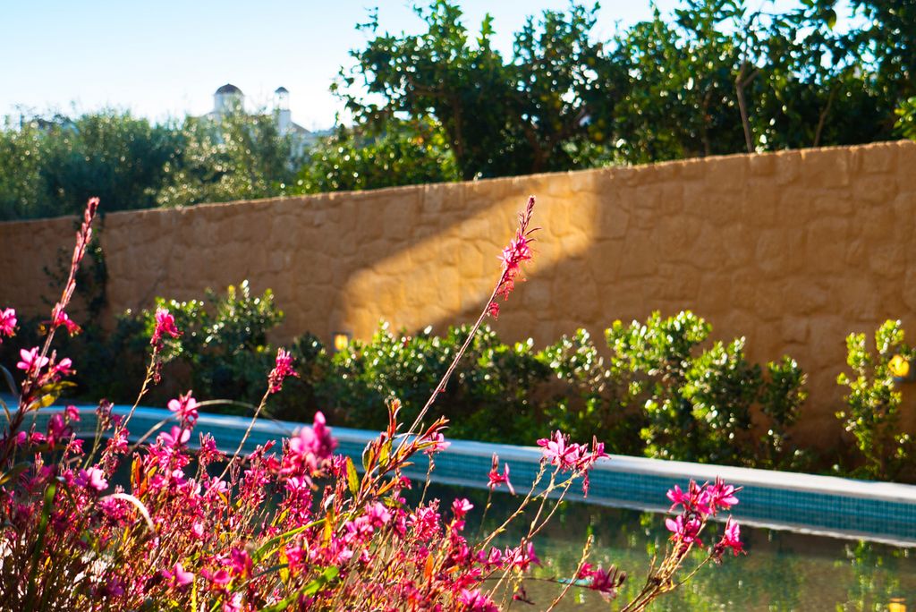 Villa Hera Crete Olivers Travels 5