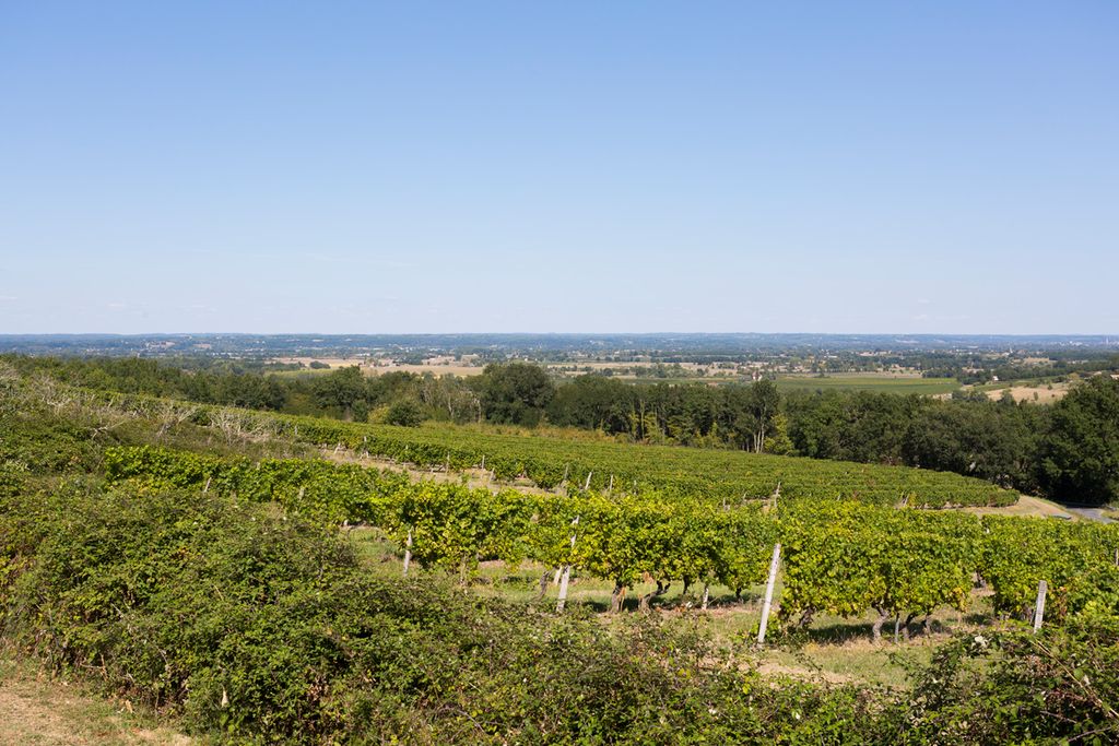 La Plaine Dordogne Olivers Travels 2