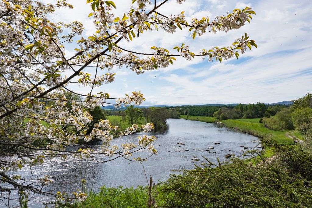 Royal Deeside Lodge Scotland Olivers Travels 2